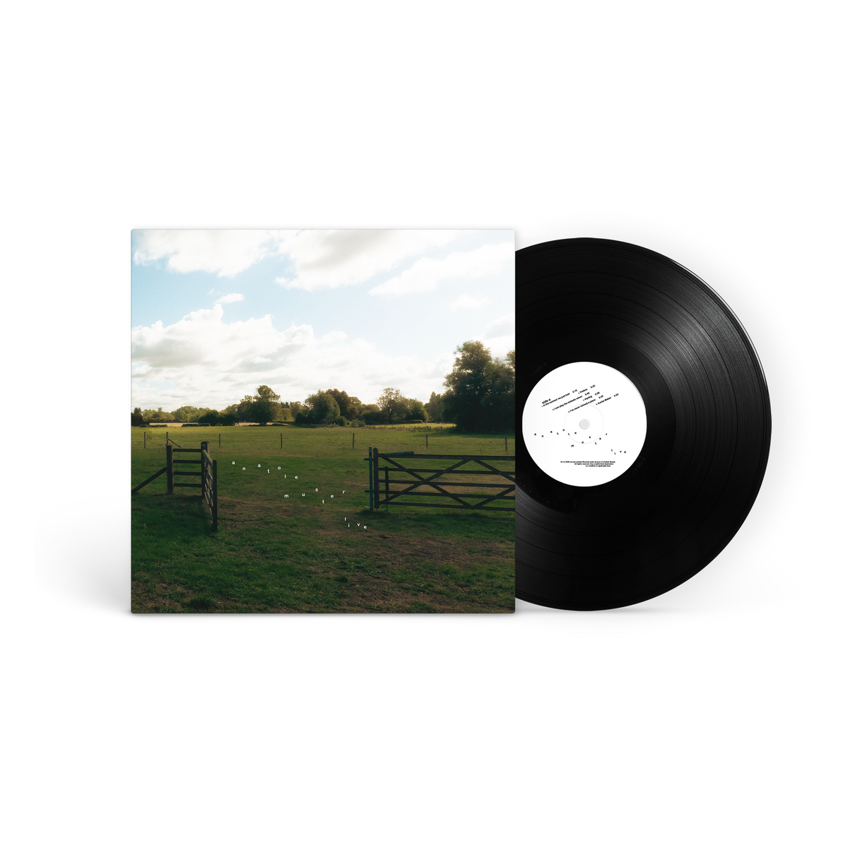 Anatole Muster - anatole muster live [LP]