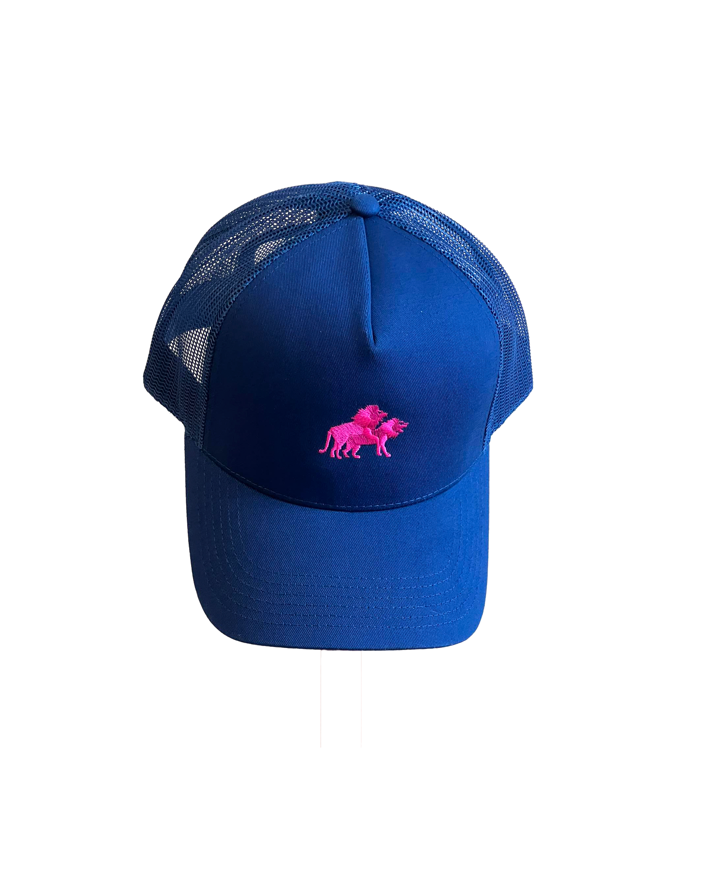kurvad uudised Trucker Hat